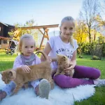 Kendlgut Am Biobauernhof Inklusive Unbegrenztem Eintritt In Alpentherme * Бад Хофгаштайн
