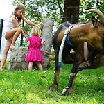 Kendlgut Am Biobauernhof Inklusive Unbegrenztem Eintritt In Alpentherme Бад Хофгаштайн