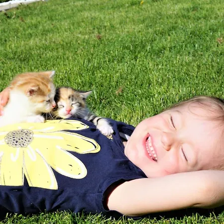 Kendlgut Am Biobauernhof Inklusive Unbegrenztem Eintritt In Alpentherme Apartment Bad Hofgastein