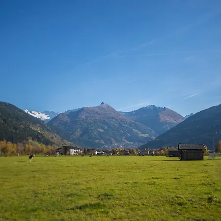 Kendlgut Am Biobauernhof Inklusive Unbegrenztem Eintritt In Alpentherme * Bad Hofgastein