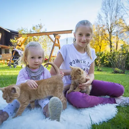 Kendlgut Am Biobauernhof Inklusive Unbegrenztem Eintritt In Alpentherme * Bad Hofgastein