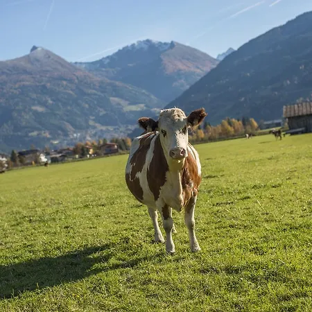 Kendlgut Am Biobauernhof Inklusive Unbegrenztem Eintritt In Alpentherme Apartment Bad Hofgastein