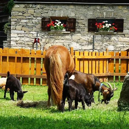 Apartmán Kendlgut Am Biobauernhof Inklusive Unbegrenztem Eintritt In Alpentherme *