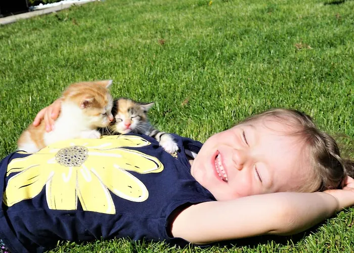 Kendlgut Am Biobauernhof Inklusive Unbegrenztem Eintritt In Alpentherme Appartement Bad Hofgastein