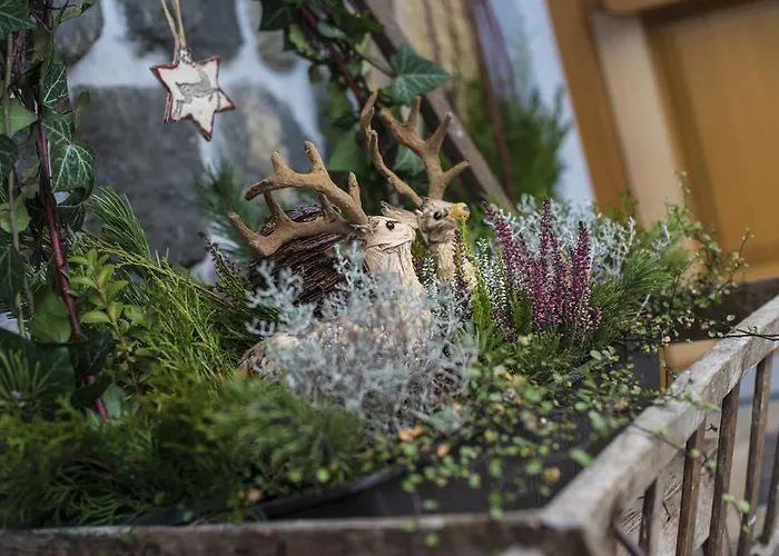 Kendlgut Am Biobauernhof Inklusive Unbegrenztem Eintritt In Alpentherme Bad Hofgastein