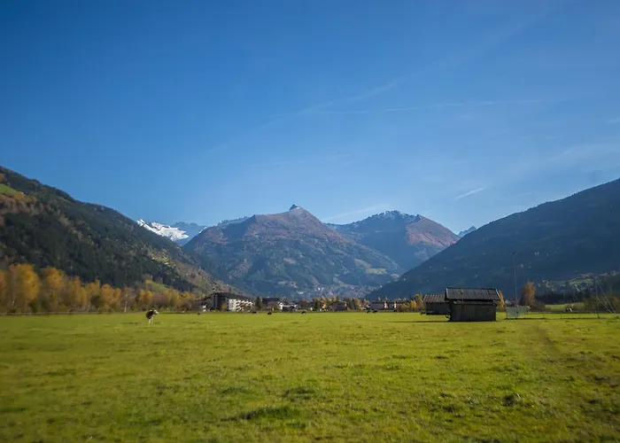 Kendlgut Am Biobauernhof Inklusive Unbegrenztem Eintritt In Alpentherme * Bad Hofgastein
