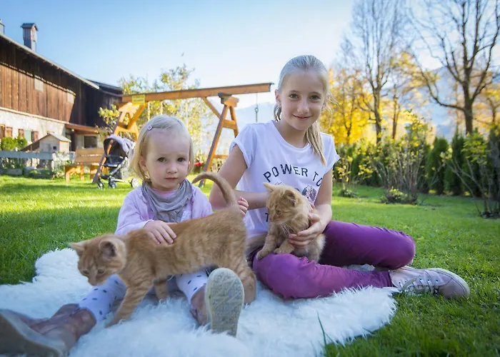 Kendlgut Am Biobauernhof Inklusive Unbegrenztem Eintritt In Alpentherme * Bad Hofgastein