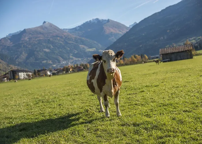 Kendlgut Am Biobauernhof Inklusive Unbegrenztem Eintritt In Alpentherme Appartement Bad Hofgastein