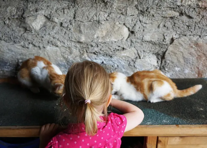 Kendlgut Am Biobauernhof Inklusive Unbegrenztem Eintritt In Alpentherme Appartement *