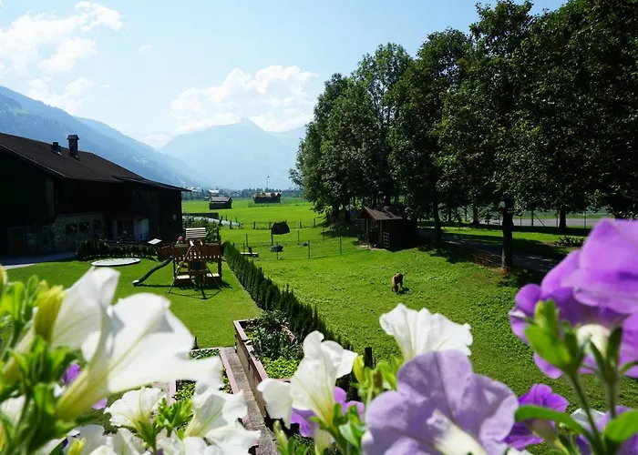 Kendlgut Am Biobauernhof Inklusive Unbegrenztem Eintritt In Alpentherme Appartement Bad Hofgastein