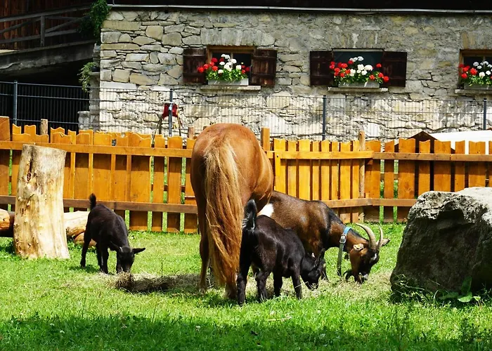 Appartement Kendlgut Am Biobauernhof Inklusive Unbegrenztem Eintritt In Alpentherme *