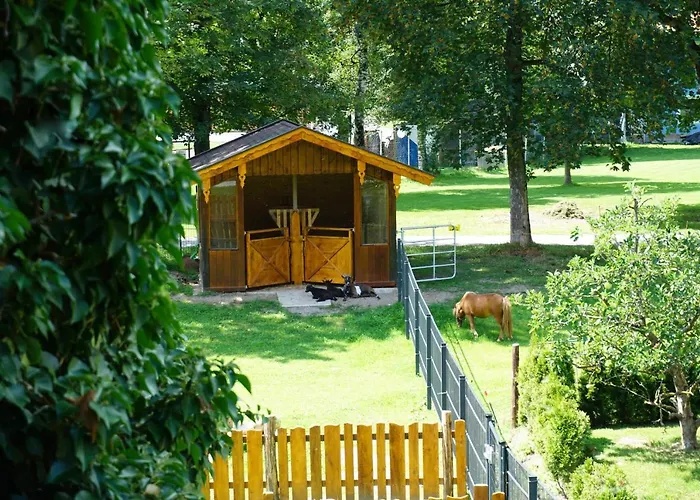 Kendlgut Am Biobauernhof Inklusive Unbegrenztem Eintritt In Alpentherme Bad Hofgastein