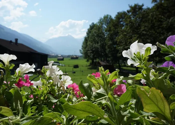 Kendlgut Am Biobauernhof Inklusive Unbegrenztem Eintritt In Alpentherme * Bad Hofgastein